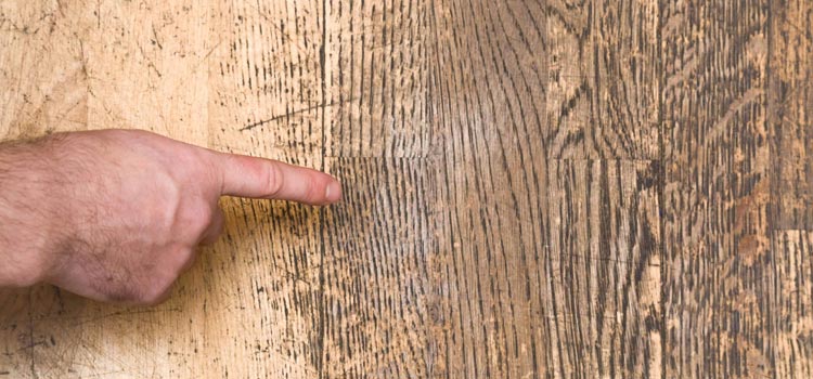 Wood Door Scratch Repair in North Lauderdale